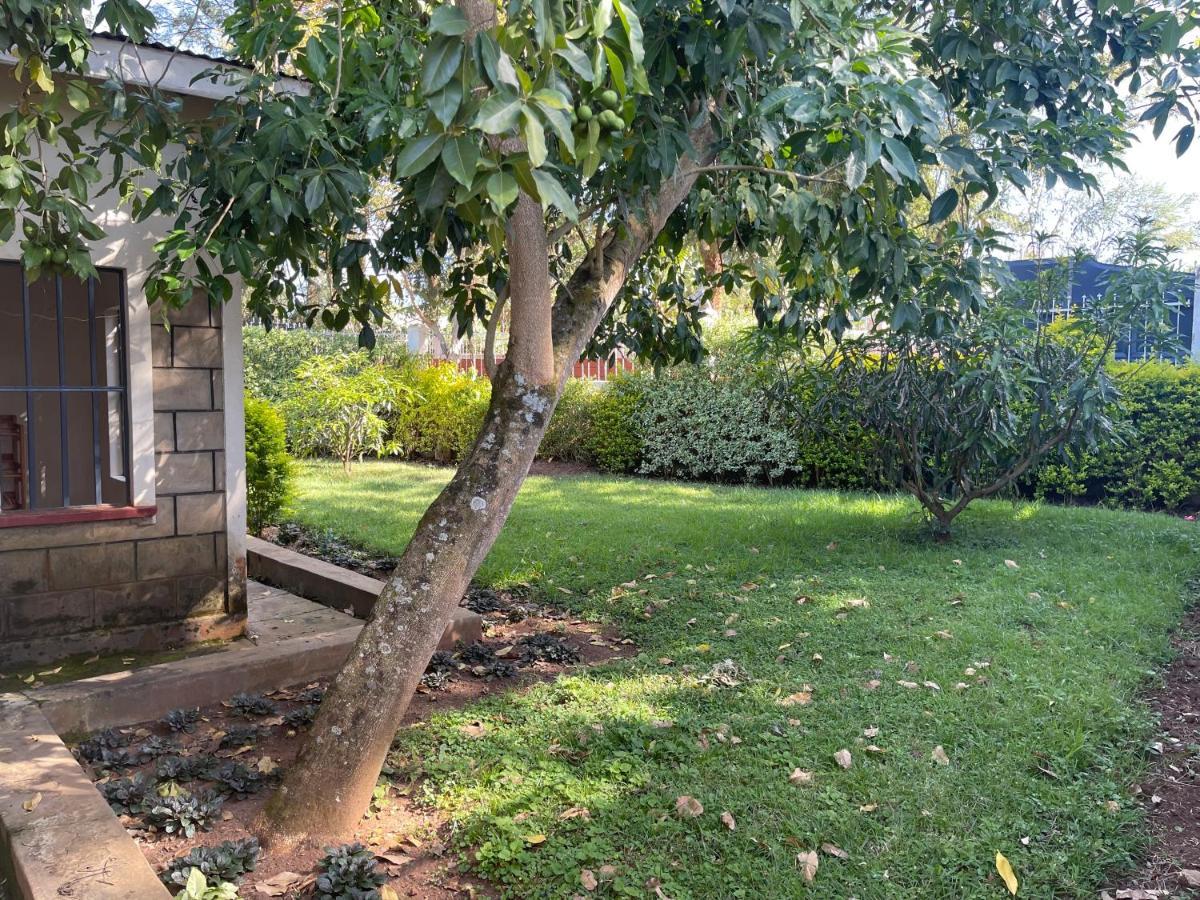 Easy Sleep Guesthouse Kitale Kültér fotó